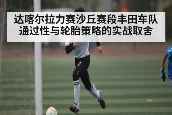 达喀尔拉力赛沙丘赛段丰田车队通过性与轮胎策略的实战取舍